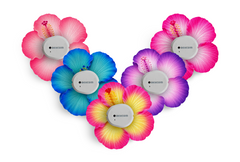 Sweet Hibiscus Patch Pack