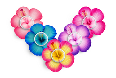 Sweet Hibiscus Patch Pack