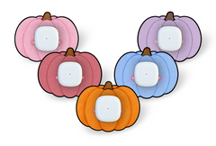 Pretty Pumpkins Patch Pack