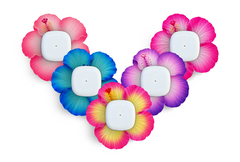 Sweet Hibiscus Patch Pack