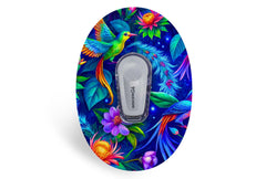 Birds In Paradise Patch for Dexcom G6 / One diabetes supplies and insulin pumps