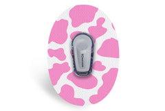 Candy Cow Print Patch - Dexcom G6 / One for Single diabetes supplies and insulin pumps