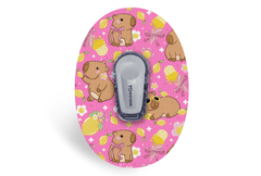 Capybara Patch for Dexcom G6 / One diabetes supplies and insulin pumps