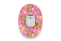 Capybara Patch for Glucomen Day diabetes supplies and insulin pumps