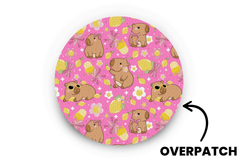 Capybara Patch for Overpatch diabetes supplies and insulin pumps