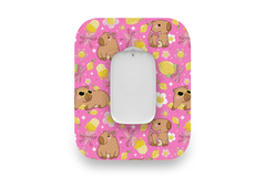 Capybara Patch for Medtrum CGM diabetes supplies and insulin pumps