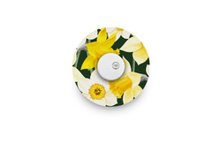 Daffodils Patch for Freestyle Libre 3 diabetes supplies and insulin pumps