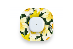 Daffodils Patch - Simplera for Single diabetes supplies and insulin pumps
