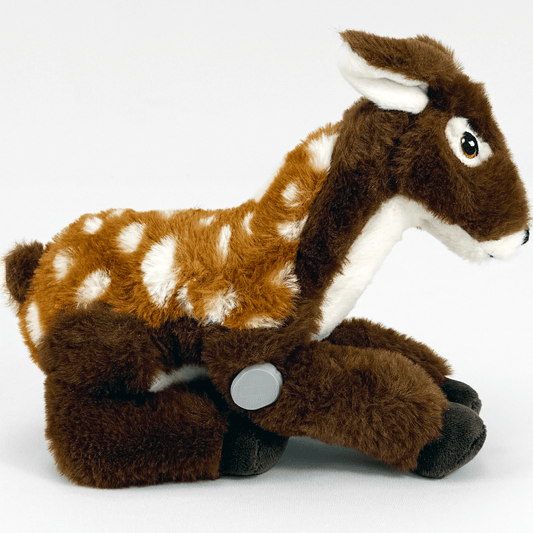Daisy the Deer for diabetes supplies and insulin pumps