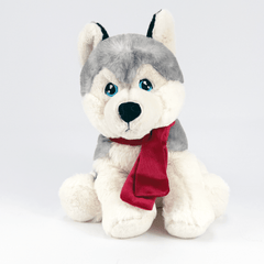 Harris the Huskey for diabetes supplies and insulin pumps