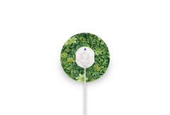 Herb Garden Patch for Minimed QuickSet diabetes supplies and insulin pumps