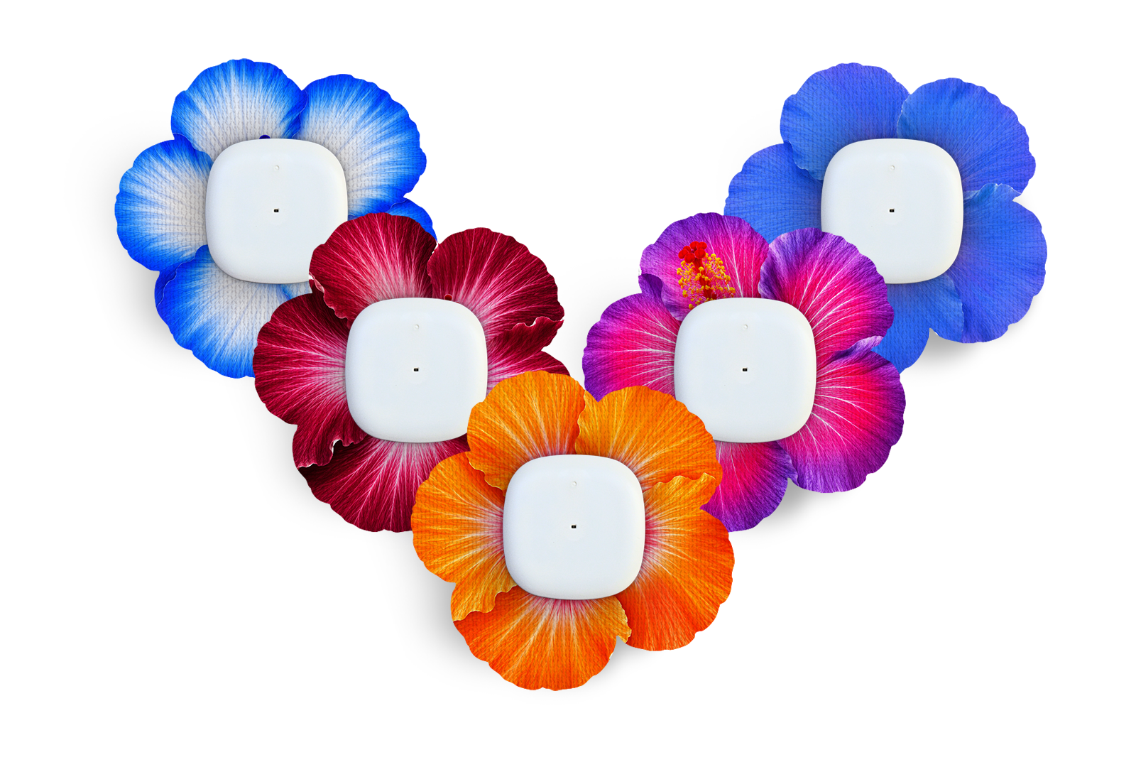 Hibiscus Patch Pack for Simplera diabetes supplies and insulin pumps