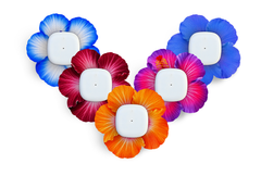 Hibiscus Patch Pack for Simplera diabetes supplies and insulin pumps