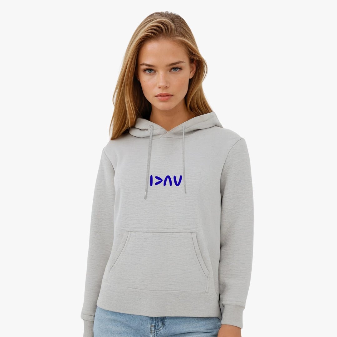 Highs and Lows Hoodie for Grey diabetes supplies and insulin pumps