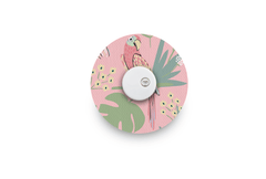 John the Parrot Patch - Libre 3 for Single diabetes supplies and insulin pumps