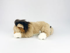 Leo the Lion for Standard diabetes supplies and insulin pumps