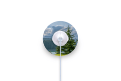 Pine Tree Patch - mylife Orbit for Single diabetes supplies and insulin pumps