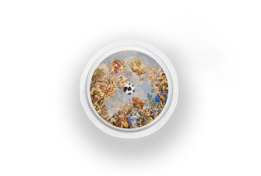 Renaissance Sticker for Novopen 4, 5, 6, or Echo diabetes supplies and insulin pumps