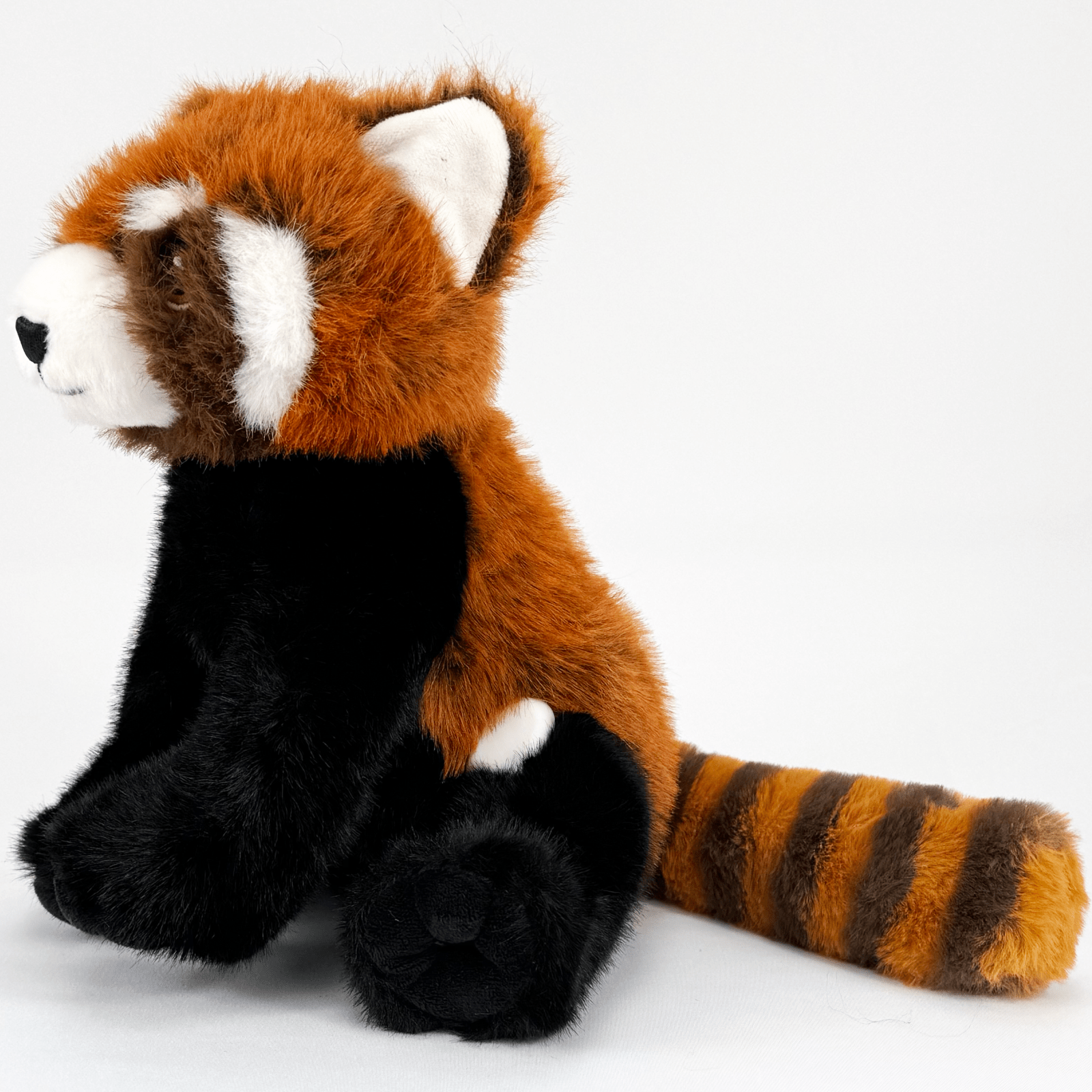 Rory the Red Panda for diabetes supplies and insulin pumps