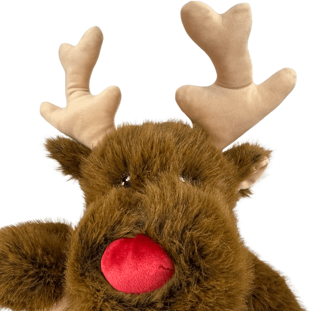 Rudolph the Reindeer for Freestyle Libre 2 diabetes supplies and insulin pumps