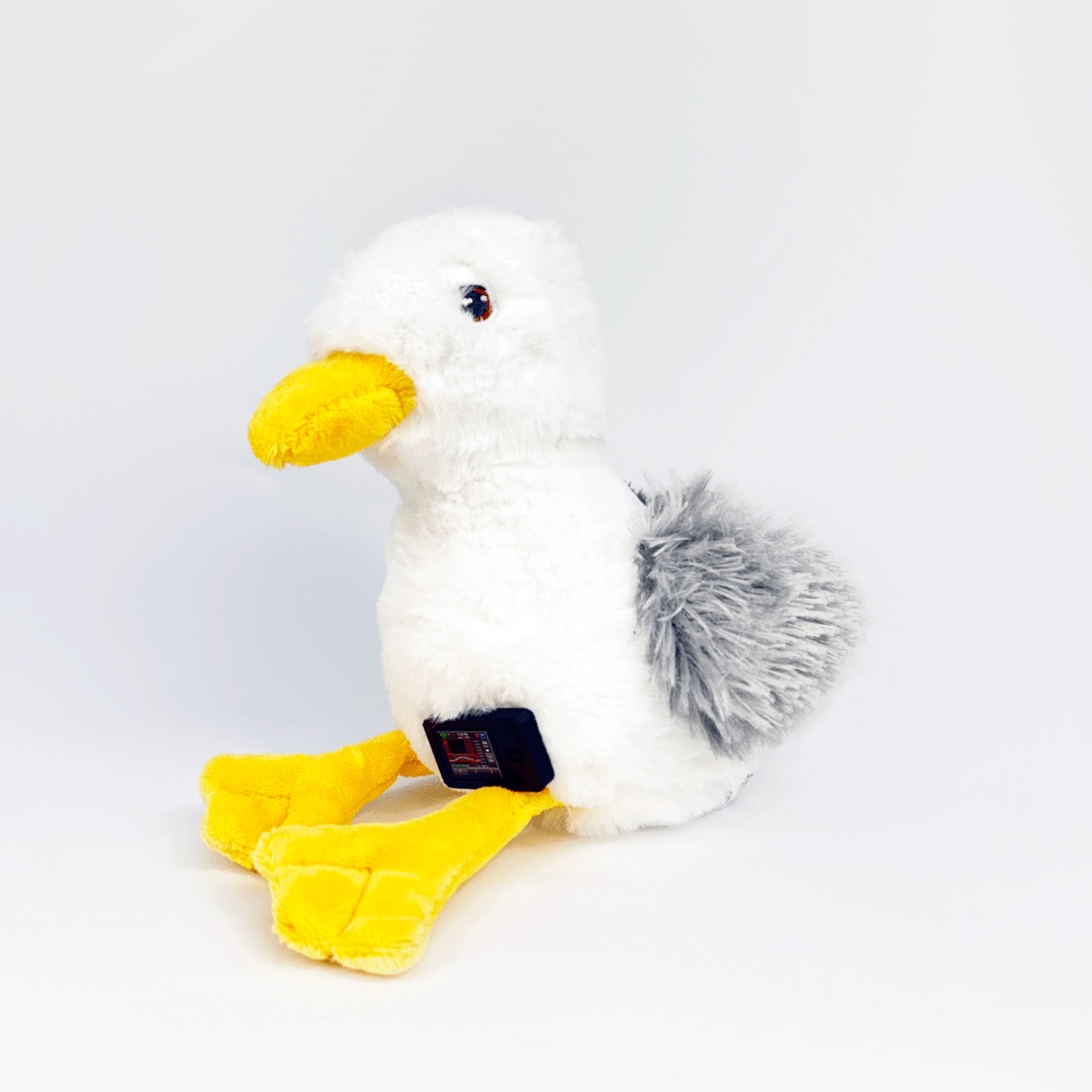 Sophie the Seagul for Freestyle Libre 2 diabetes supplies and insulin pumps