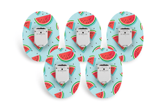 Watermelon Patch Pack for Glucomen Day - 5 - Pack diabetes supplies and insulin pumps