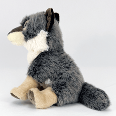 Wilbur the Wolf for Standard diabetes supplies and insulin pumps