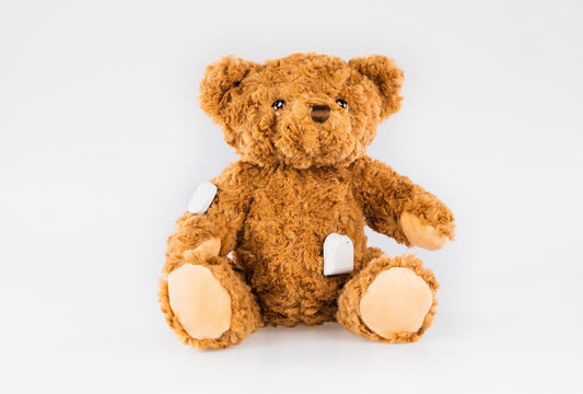 Buddy the Bear for GlucoRX Aidex diabetes CGMs and insulin pumps