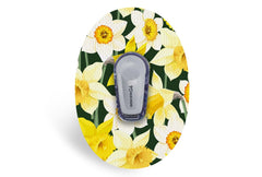 Daffodils Patch - Dexcom G6 / One for Single diabetes supplies and insulin pumps