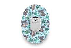 Koala Patch for Glucomen Day diabetes CGMs and insulin pumps