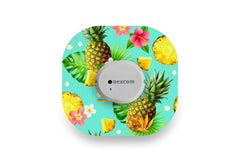 Pineapple Patch - Dexcom G7 / One+ for Single diabetes supplies and insulin pumps