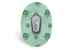 Turtle Patch for Dexcom G6 / One diabetes CGMs and insulin pumps