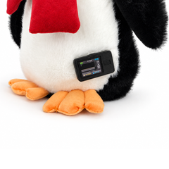 Pip the Penguin