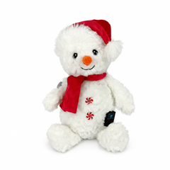 Snowy the Snowman