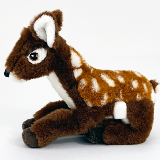 Daisy the Deer