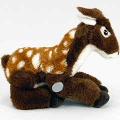Daisy the Deer