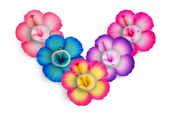 Sweet Hibiscus Patch Pack