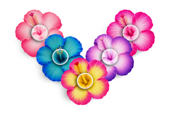 Sweet Hibiscus Patch Pack