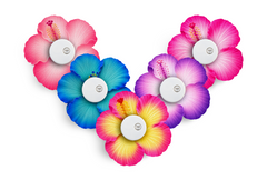 Sweet Hibiscus Patch Pack