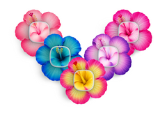 Sweet Hibiscus Patch Pack