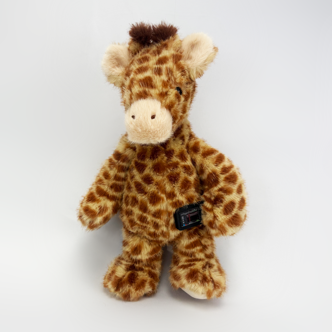 Georgie the Giraffe