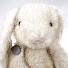 Beth the Bunny for Freestyle Libre 2 diabetes supplies and insulin pumps