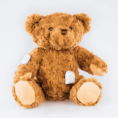 Buddy the Bear for Freestyle Libre 2 diabetes supplies and insulin pumps