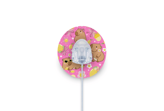 Capybara Patch - Autosoft 90 for Single diabetes supplies and insulin pumps