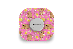 Capybara Patch for Dexcom G7 / One+ diabetes supplies and insulin pumps