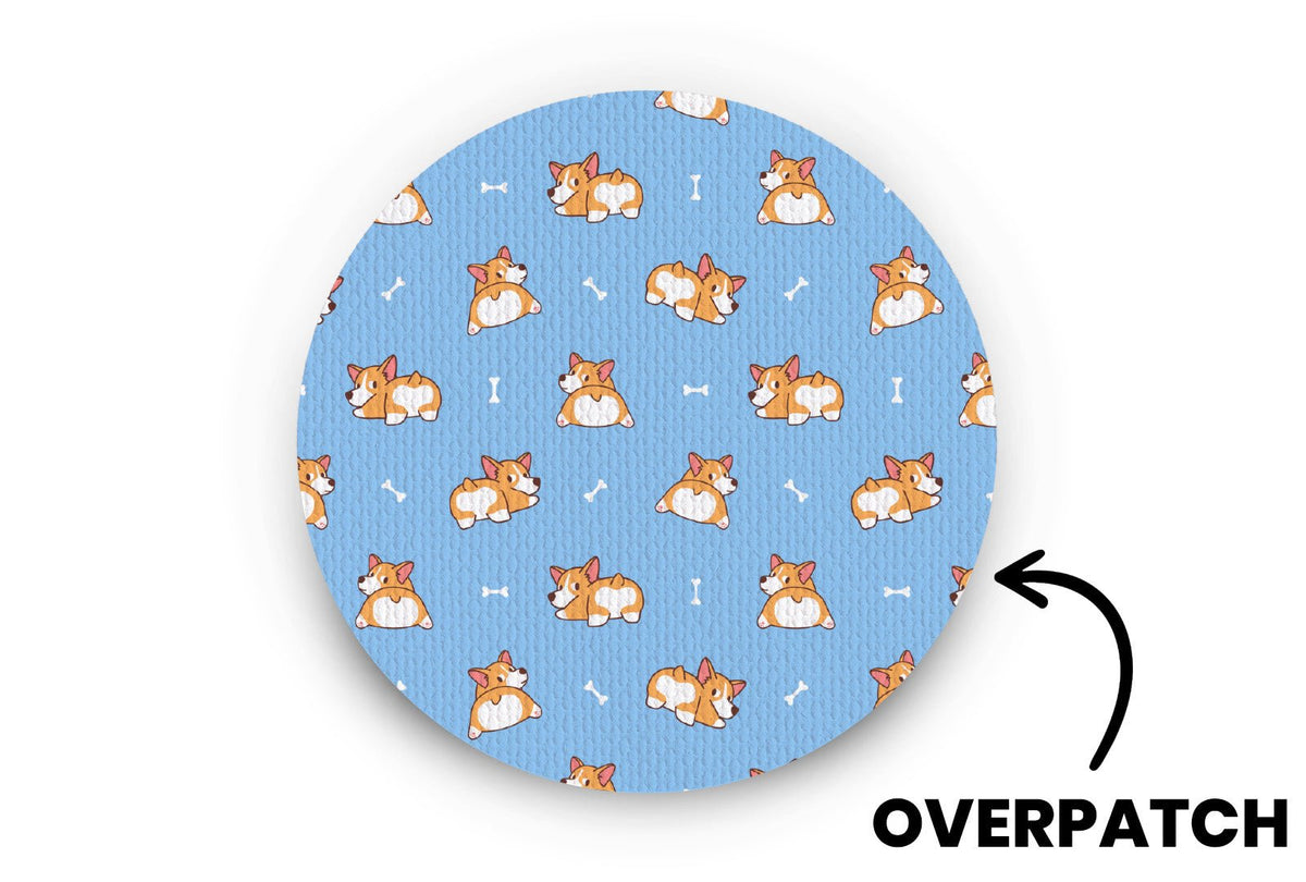 Corgi Patch - Overpatches for Single diabetes supplies and insulin pumps