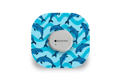 Dolphin Patch - Dexcom G7 / One+ for Single diabetes supplies and insulin pumps
