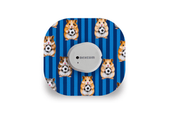 Football Hamsters Patch for Dexcom G7 / One+ diabetes supplies and insulin pumps