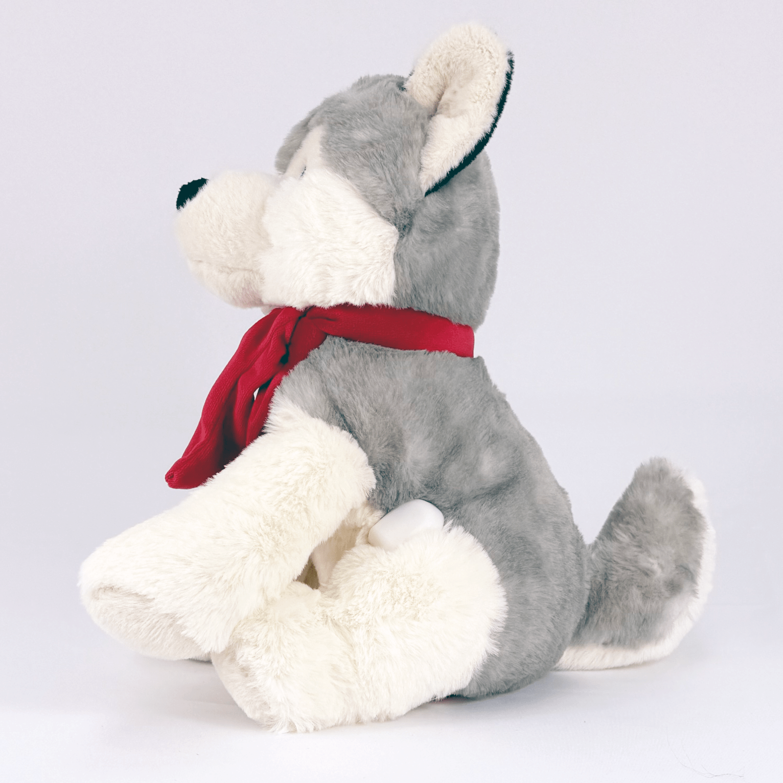 Harris the Huskey for diabetes supplies and insulin pumps