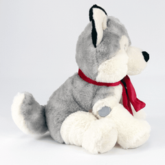 Harris the Huskey for diabetes supplies and insulin pumps